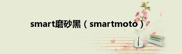 smart磨砂黑（smartmoto）