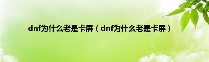 dnf为是什么老是卡屏（dnf为是什么老是卡屏）