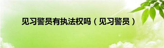 见习警员有执法权吗（见习警员）