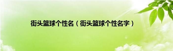 街头篮球个性名（街头篮球个性名字）