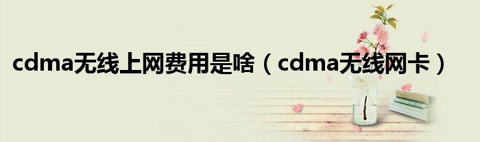 cdma无线上网费用是啥（cdma无线网卡）