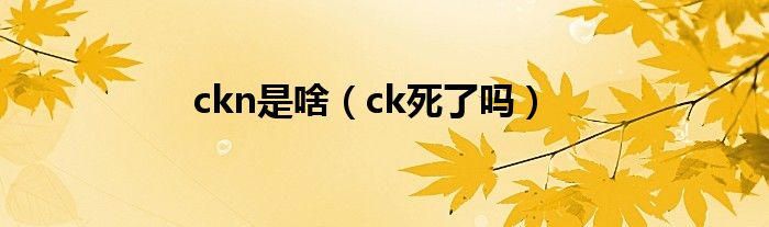 ckn是啥（ck死了吗）