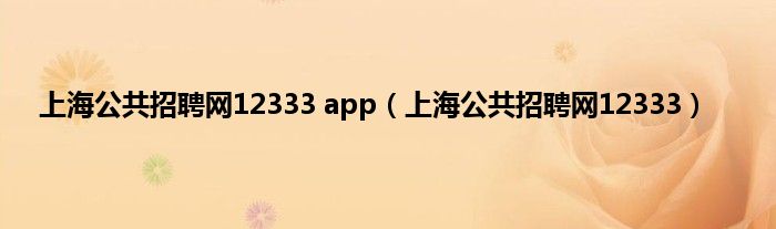 上海公共招聘网12333 app（上海公共招聘网12333）