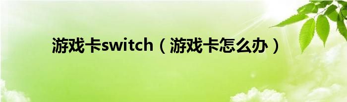 游戏卡switch（游戏卡怎么办）