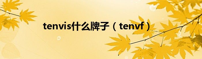 tenvis是什么牌子（tenvf）