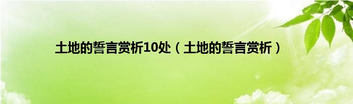 土地的誓言赏析10处（土地的誓言赏析）