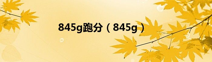 845g跑分（845g）