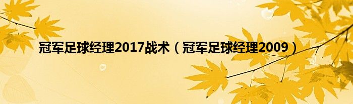 冠军足球经理2017战术（冠军足球经理2009）