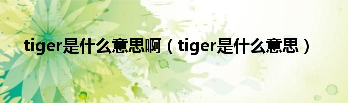 tiger是是什么意思啊（tiger是是什么意思）