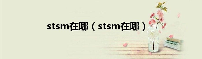 stsm在哪（stsm在哪）