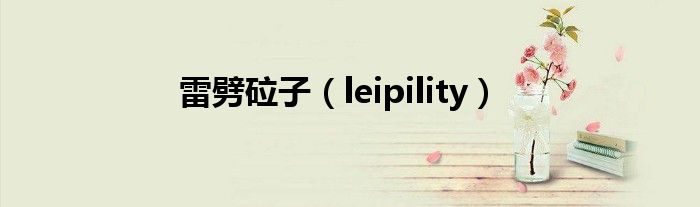 雷劈砬子（leipility）