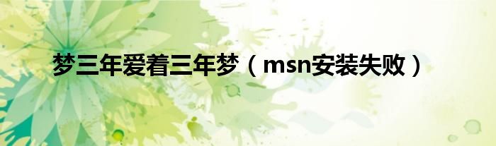 梦三年爱着三年梦（msn安装失败）