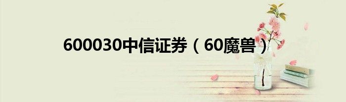 600030中信证券（60魔兽）