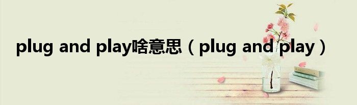 plug and play啥意思（plug and play）