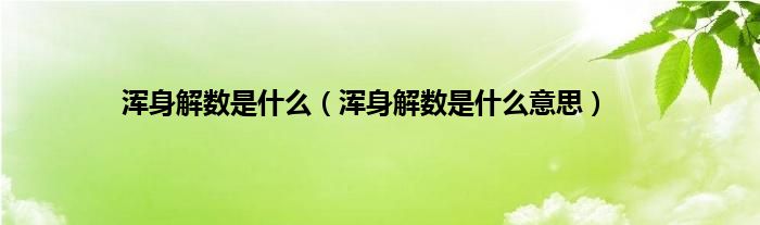 浑身解数是是什么（浑身解数是是什么意思）