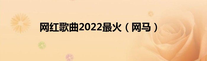 网红歌曲2022最火（网马）