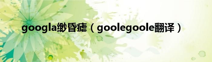 googla缈昏瘧（goolegoole翻译）