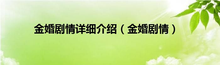 金婚剧情详细介绍（金婚剧情）