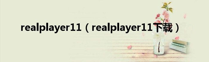 realplayer11（realplayer11下载）