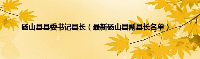 砀山县县委书记县长（最新砀山县副县长名单）