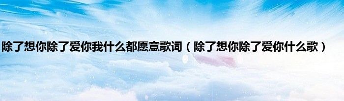 除了想你除了爱你我是什么都愿意歌词（除了想你除了爱你是什么歌）