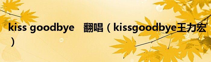 kiss goodbye   翻唱（kissgoodbye王力宏）