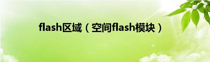 flash区域（空间flash模块）