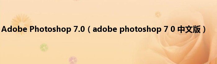 Adobe Photoshop 7.0（adobe photoshop 7 0 中文版）