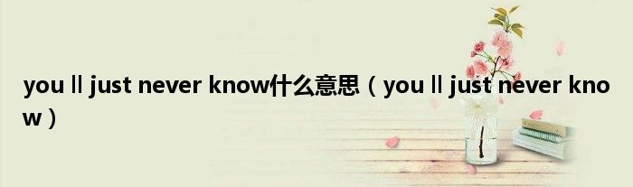 you ll just never know是什么意思（you ll just never know）