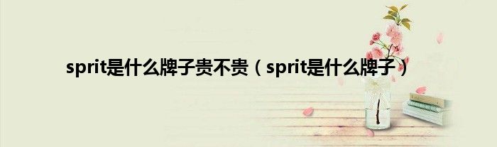 sprit是是什么牌子贵不贵（sprit是是什么牌子）