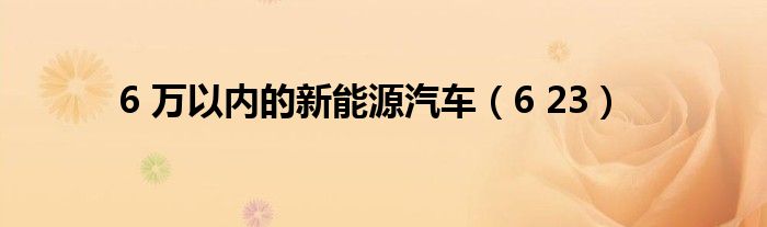 6 万以内的新能源汽车（6 23）