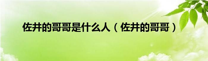 佐井的哥哥是是什么人（佐井的哥哥）