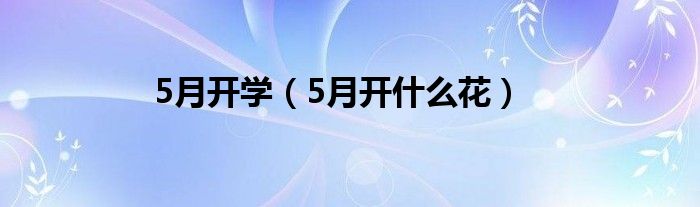 5月开学（5月开是什么花）