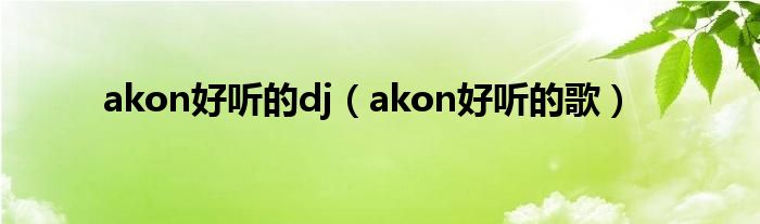 akon好听的dj（akon好听的歌）