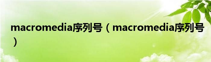 macromedia序列号（macromedia序列号）