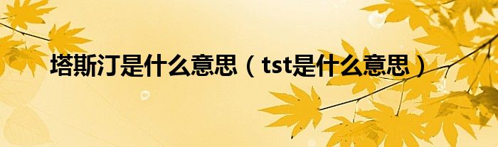 塔斯汀是是什么意思（tst是是什么意思）