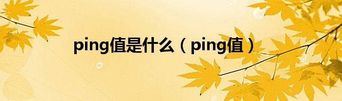 ping值是是什么（ping值）