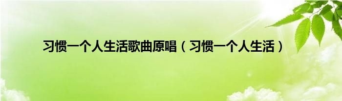 习惯一个人生活歌曲原唱（习惯一个人生活）