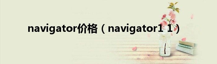 navigator价格（navigator1 1）