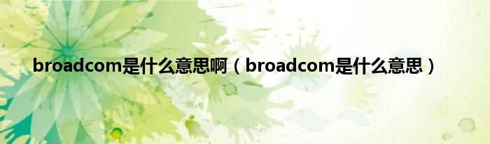 broadcom是是什么意思啊（broadcom是是什么意思）