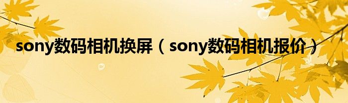 sony数码相机换屏（sony数码相机报价）