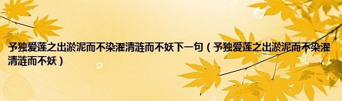 予独爱莲之出淤泥而不染濯清涟而不妖下一句（予独爱莲之出淤泥而不染濯清涟而不妖）