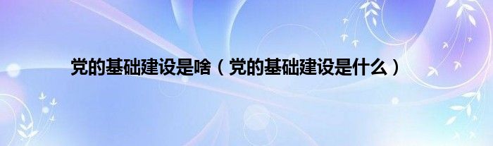 党的基础建设是啥（党的基础建设是是什么）