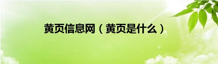 黄页信息网（黄页是是什么）