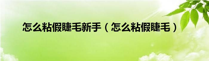 怎么粘假睫毛新手（怎么粘假睫毛）