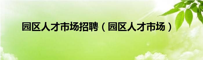 园区人才市场招聘（园区人才市场）