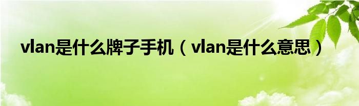 vlan是是什么牌子手机（vlan是是什么意思）