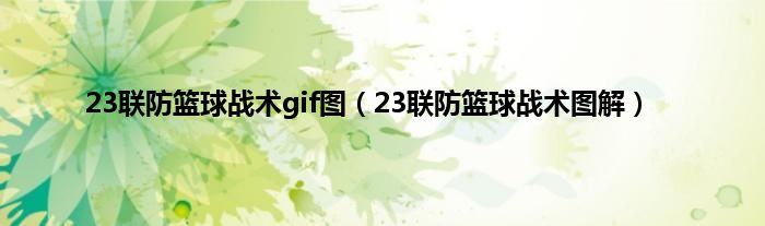 23联防篮球战术gif图（23联防篮球战术图解）