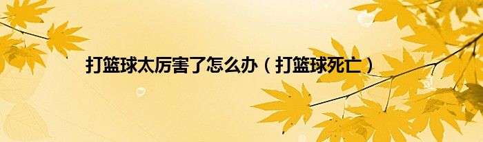 打篮球太厉害了怎么办（打篮球死亡）