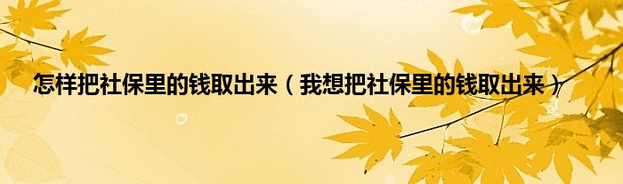 怎样把社保里的钱取出来（我想把社保里的钱取出来）